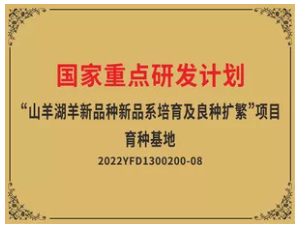 AI图库配图
